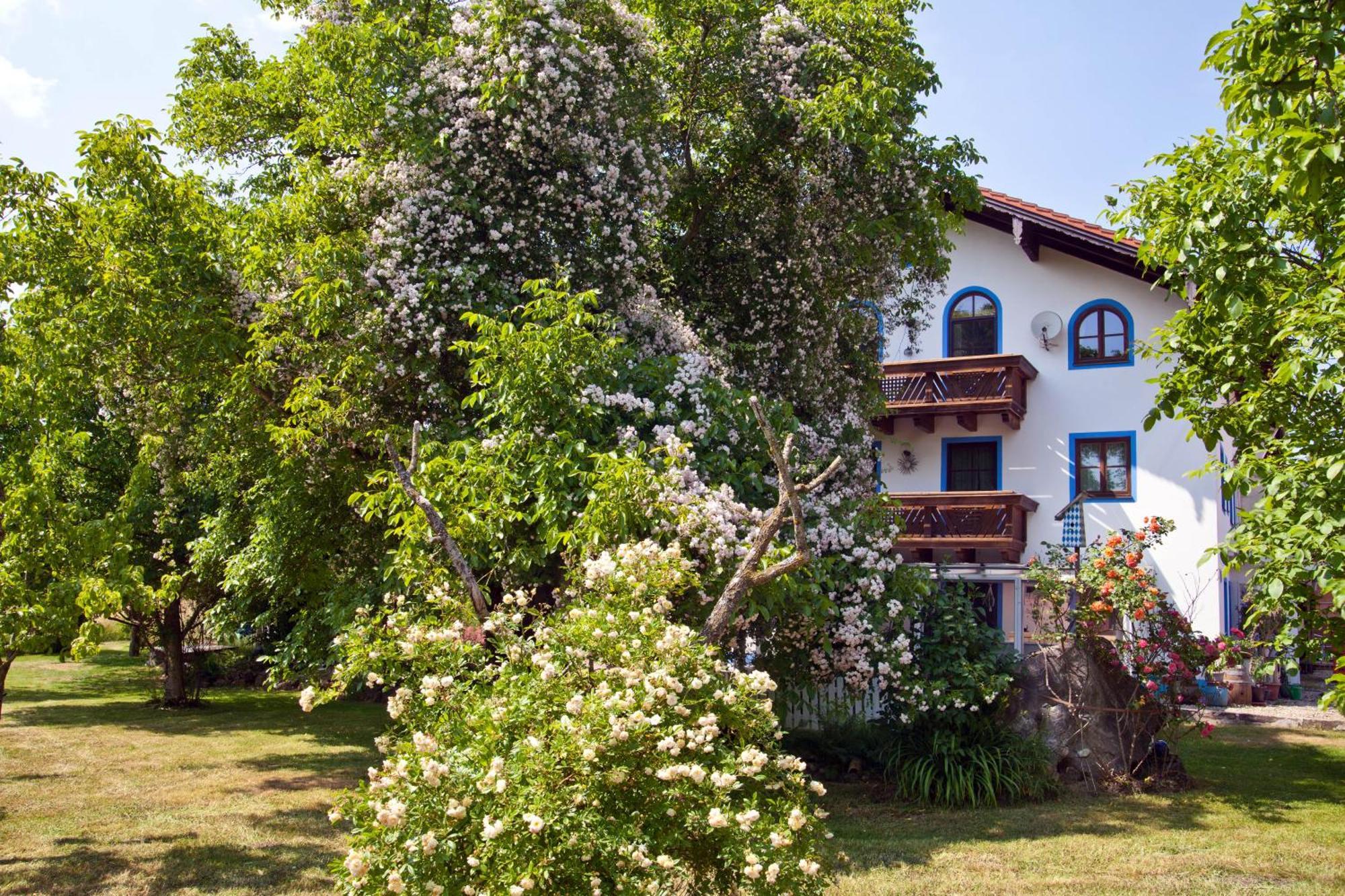 Ferienwohnung Moierhof Palling Exteriér fotografie
